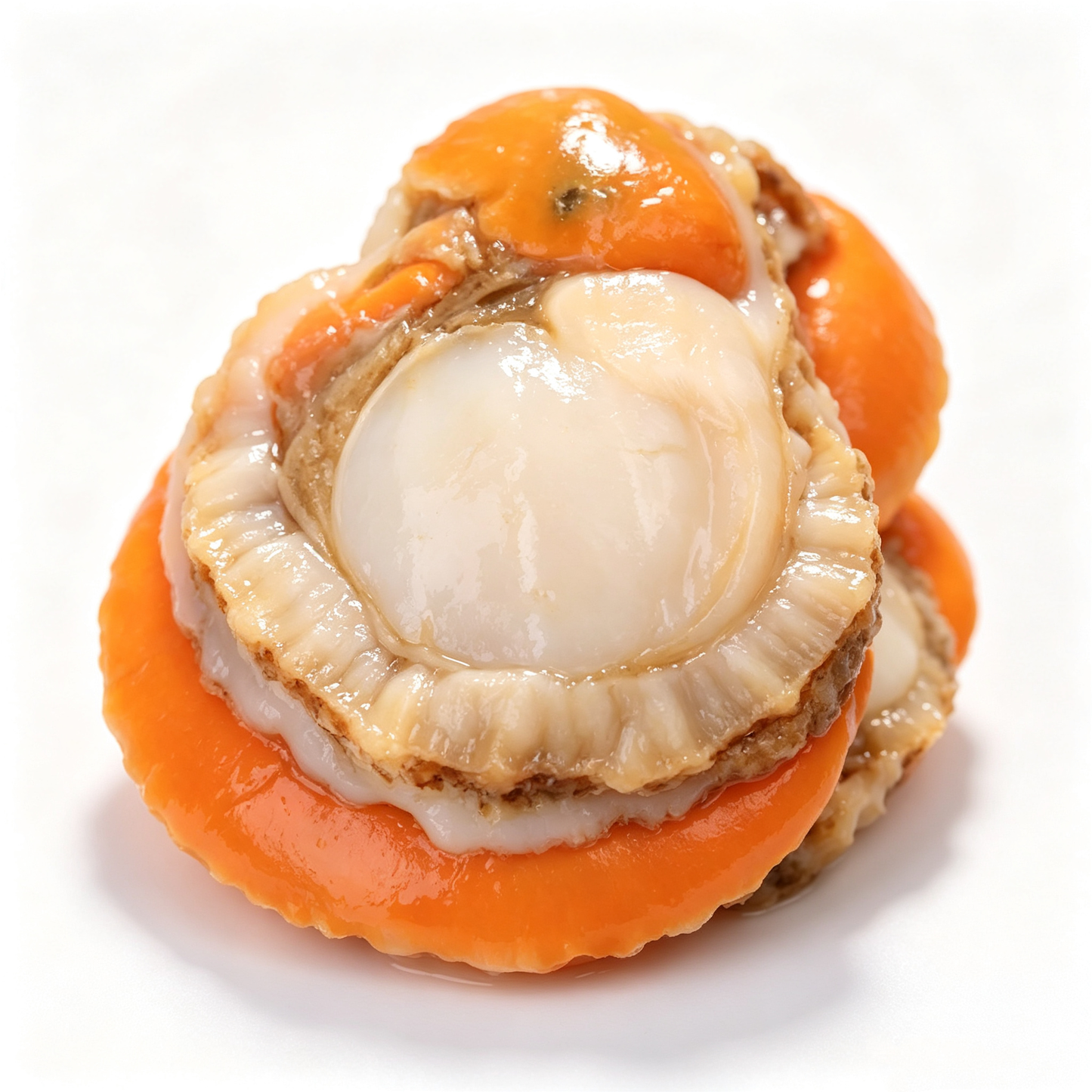 Extra Large Scallop Meat