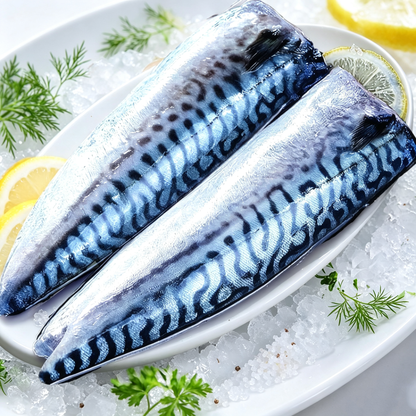 Mackerel Fish